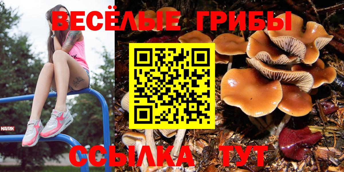 Обь  Псилоцибиновые грибы мухоморы  Вход с VPN  Галлюциногенные грибы MAGIC MUSHROOMS 